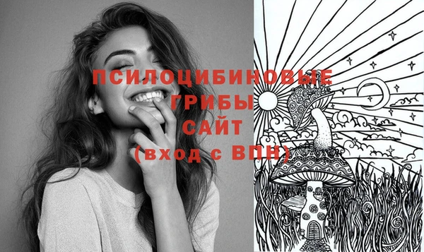 тгк Абинск