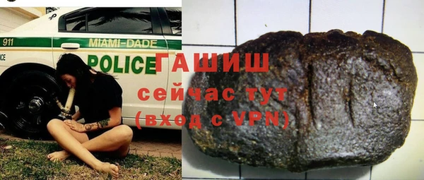 твердый Протвино