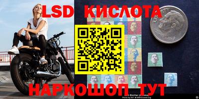 прущие грибы Можайск