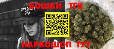 гашик Можга