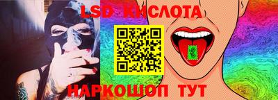 прущие грибы Можайск