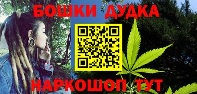 гашик Можга