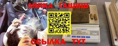 гашик Можга