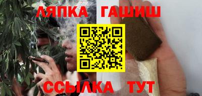 гашик Можга
