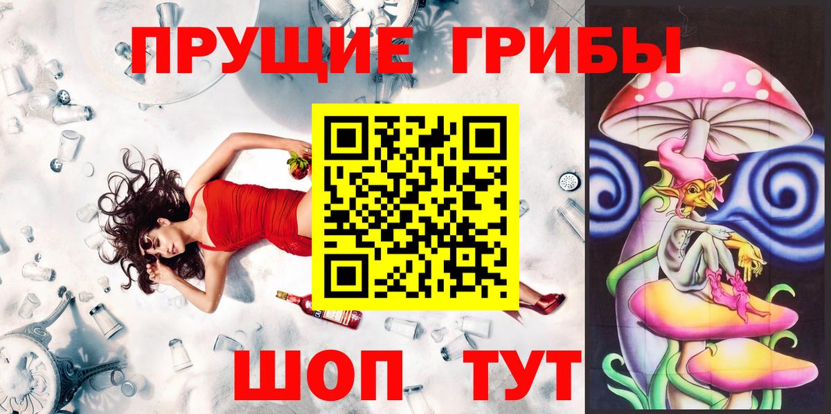 Фрязино  Псилоцибиновые грибы Psilocybine cubensis  Вход с VPN 